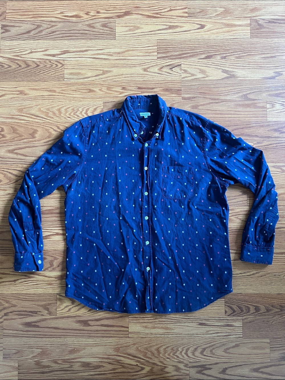 Steven Alan Navy Button-Down with Small Multi-Dot Print